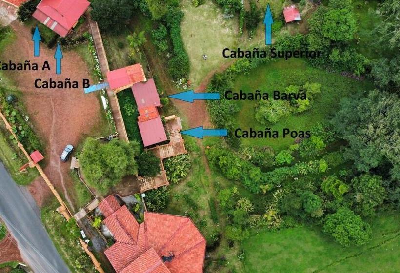 مبيت وإفطار Poas Volcano & La Paz Waterfall Cabins