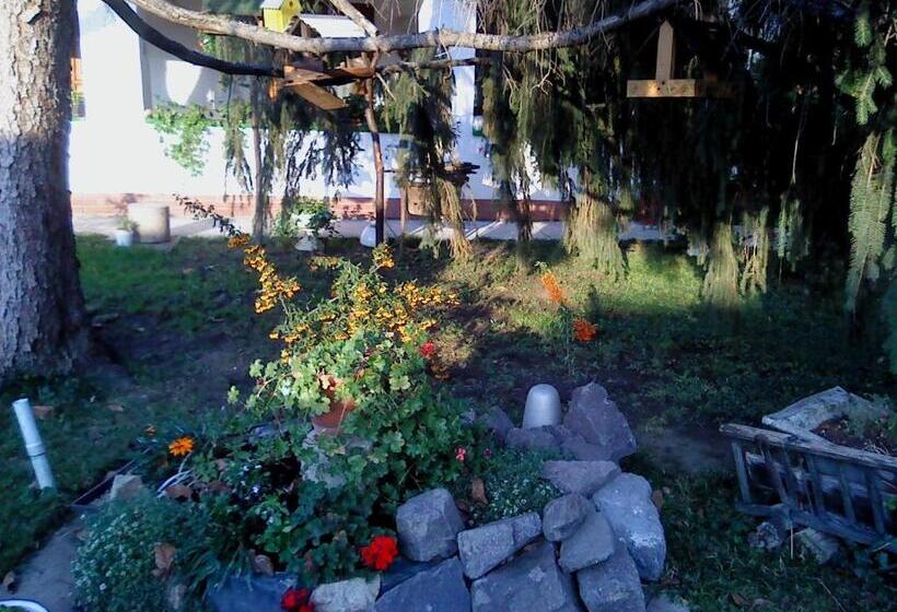 Bed and Breakfast Vali Vendégház