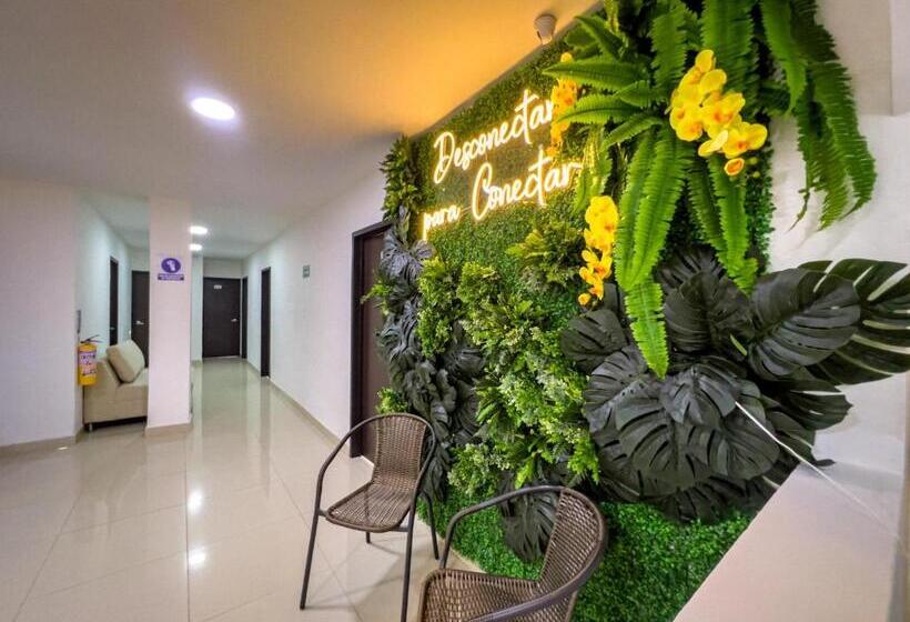 هتل Boutique Veracruz Termales