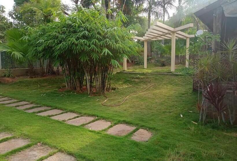 Отель Divine Nature Homestay