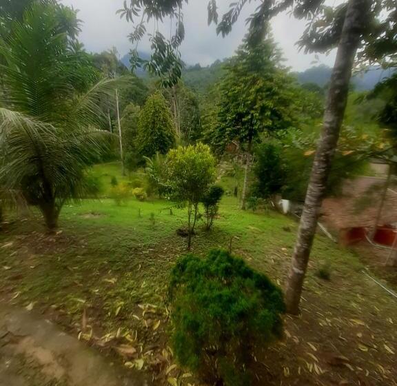 ペンション Barus Jungle View