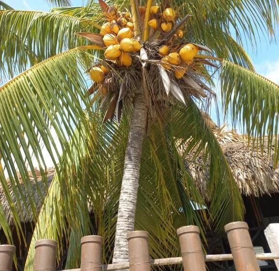 پانسیون Palenque Beach House