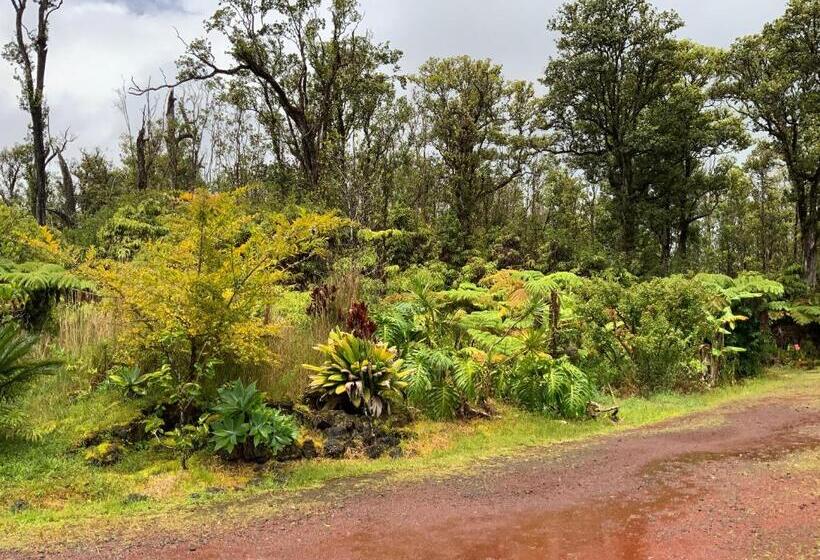 بنسيون Simple Rustic Studio Deluxe Bed In Tropical Fruits Garden