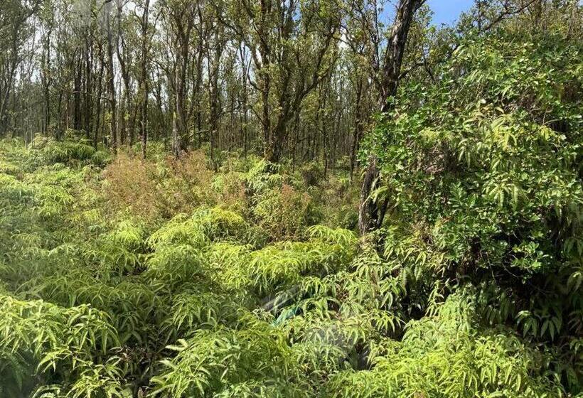 بنسيون Simple Rustic Studio Deluxe Bed In Tropical Fruits Garden