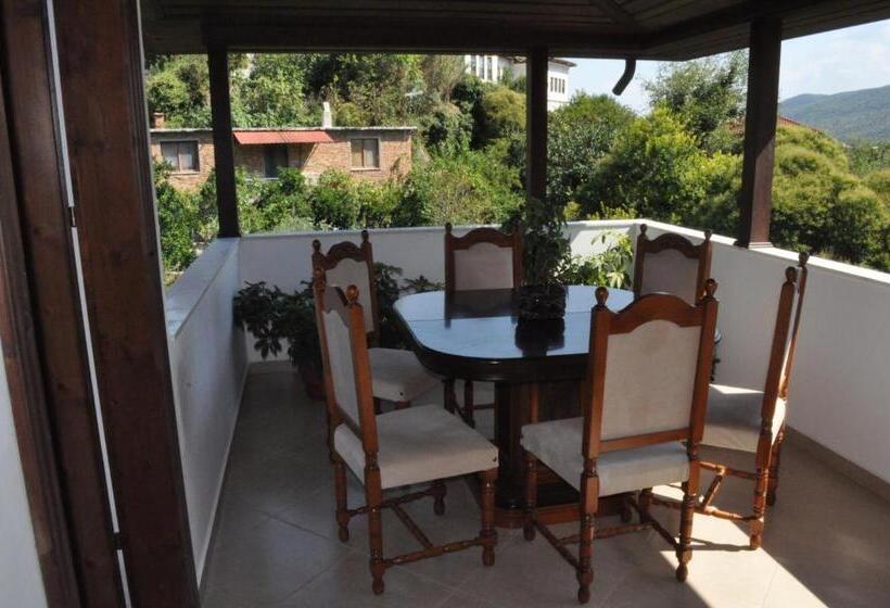 پانسیون Timber Guest House