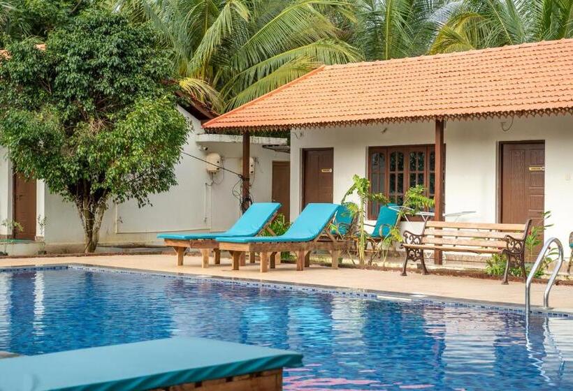 リゾートホテル Dhanrains Moonlight Retreat Cottages