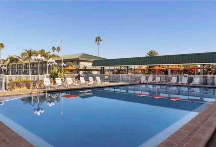 Slice Of Sarasota S Paradise Sarasota Bayfront