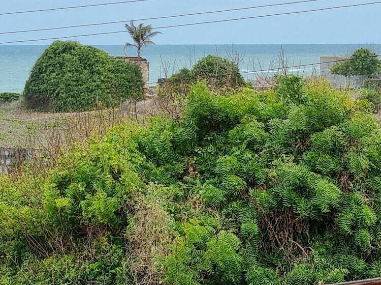 تختخواب و صبحانه Casa Ferreira Cumbuco