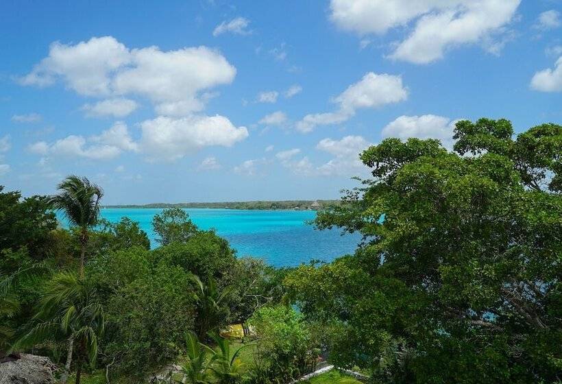 فندق Apartamentos Xul Ha