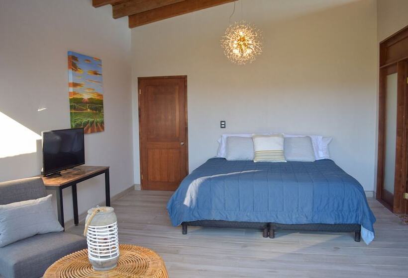 فندق Viñedo Casa La Noria