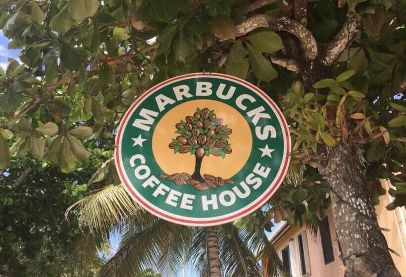 Marbucks Bed And Breakfast