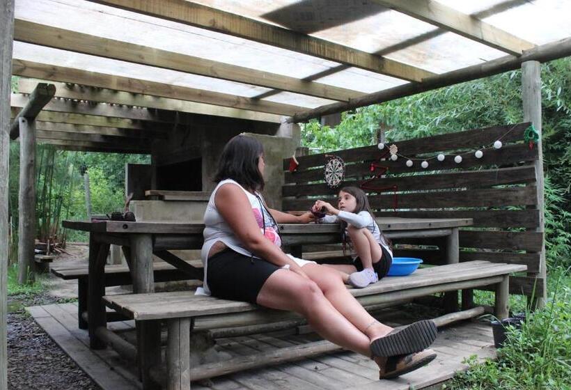 هاستل Resiliencia