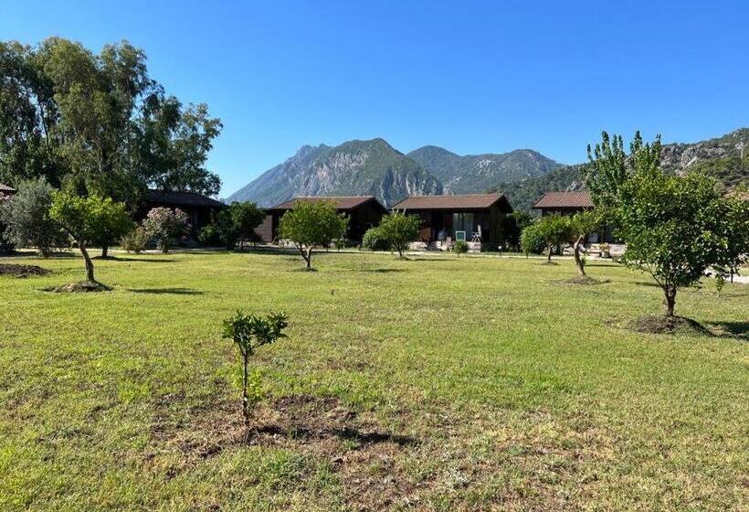 Alicra Hotel çıralı