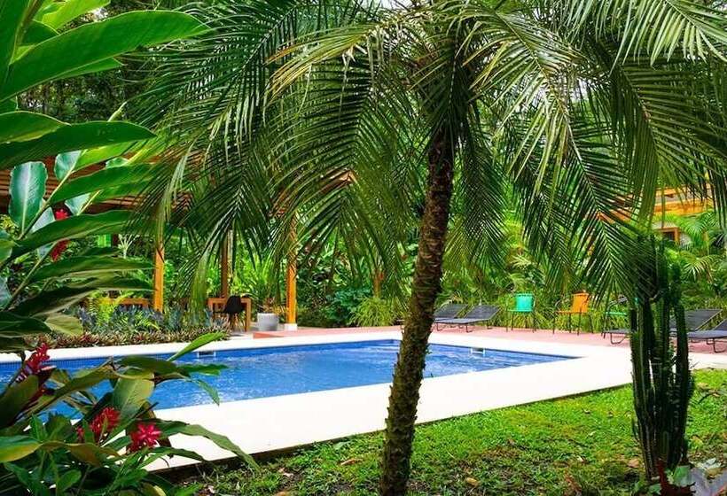 تختخواب و صبحانه La Paz Del Caribe