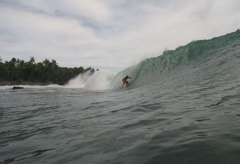 酒店 La Ponderosa Beach & Jungle Resort