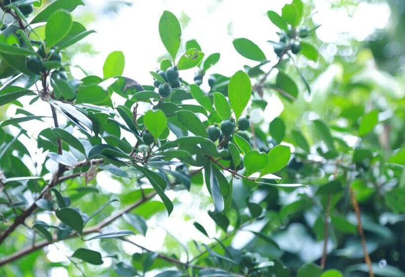 酒店 Peacock Heaven Ahangama