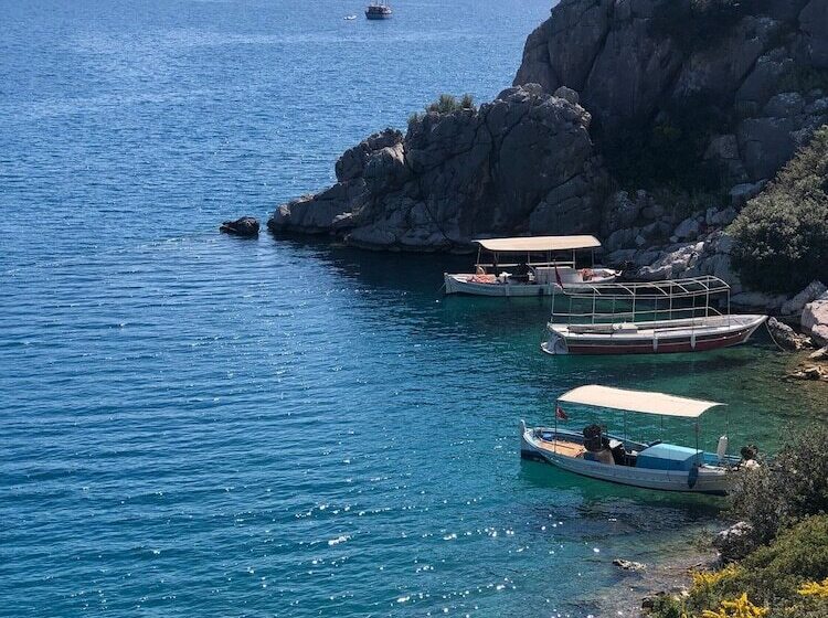 酒店 Salvia Butik Sogut