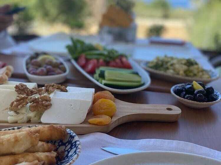 酒店 Salvia Butik Sogut