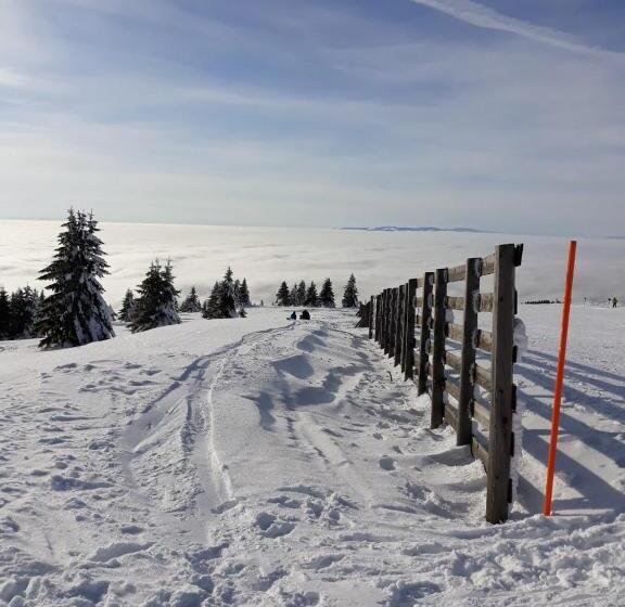 پانسیون Apartman Vila Natasa