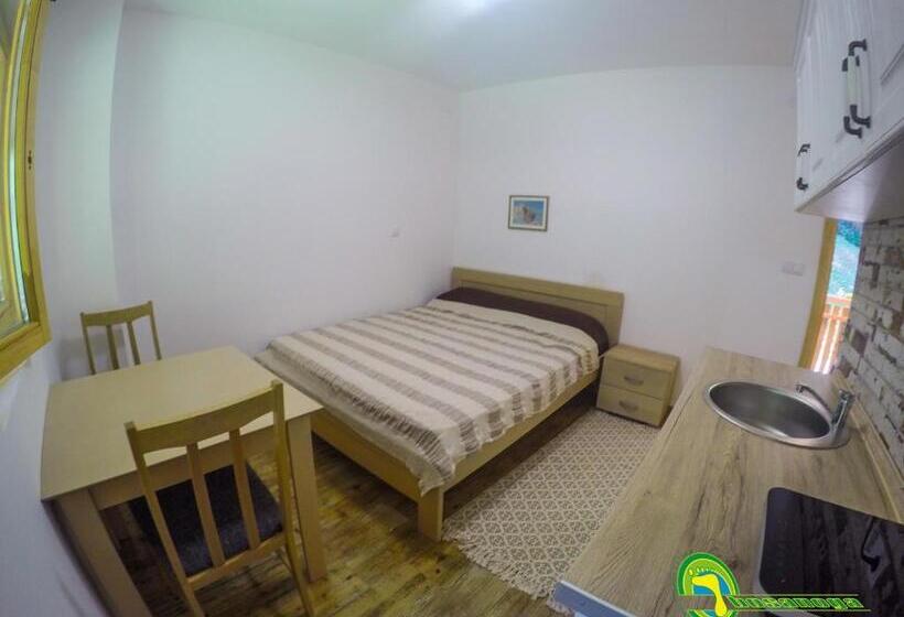 پانسیون Bosa Noga Rzav