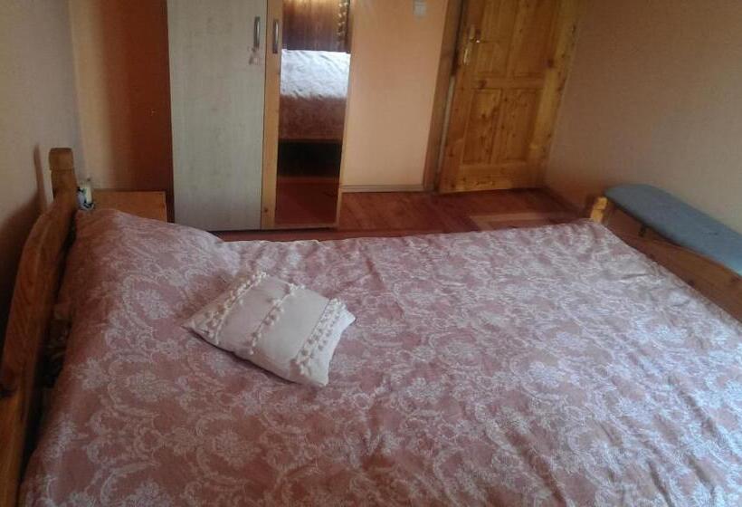 ペンション Casa Piatra Craiului