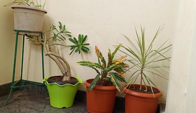 膳宿费 Gopi Homestay