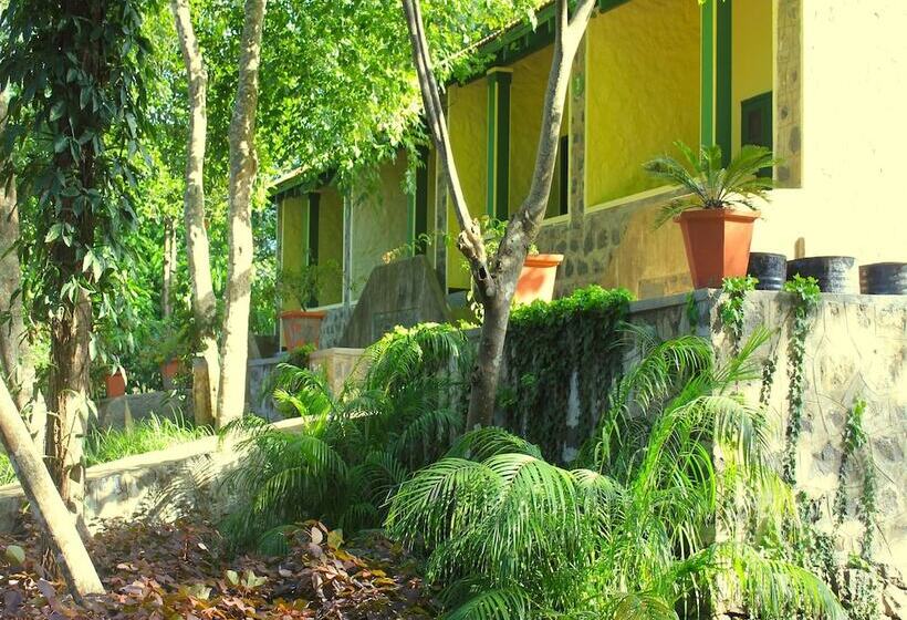 אתר נופש The Last Shola