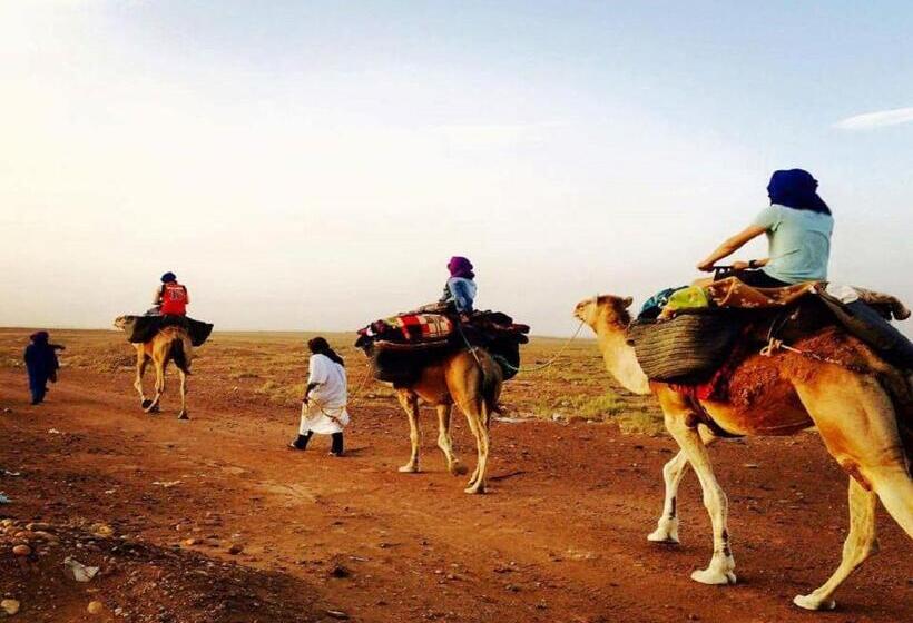 تختخواب و صبحانه Camp Iguidi Tours