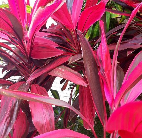 تختخواب و صبحانه Quartos Aconchegantes Prox Pelourinho, Metrô E Arena F Nova