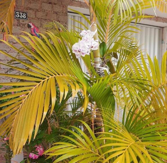 تختخواب و صبحانه Quartos Aconchegantes Prox Pelourinho, Metrô E Arena F Nova