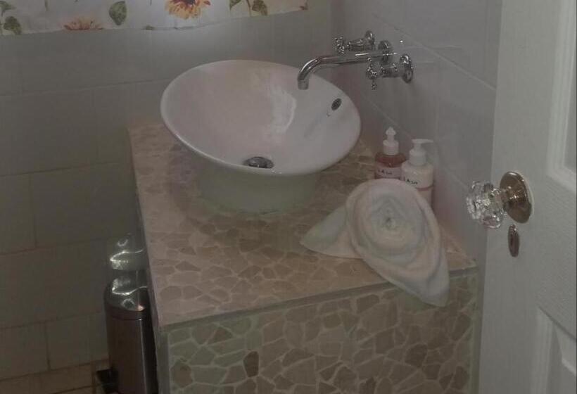 Bed and Breakfast The Secret Garden