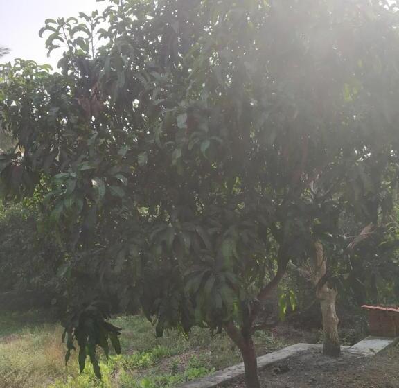 호텔 Asmi Palace, Bhaimala, Alibag