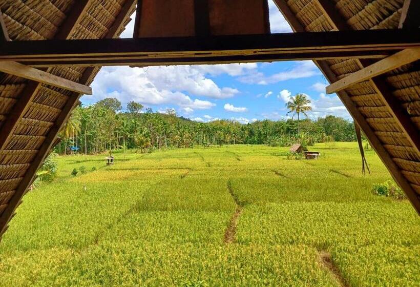 پانسیون Tropical Jungle Lodge & Jungle Trekking