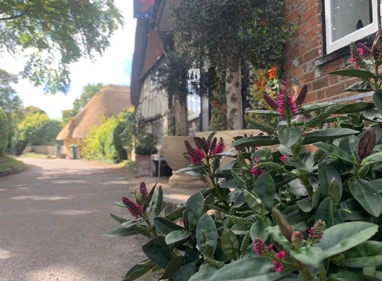 旅馆 The Red Lion