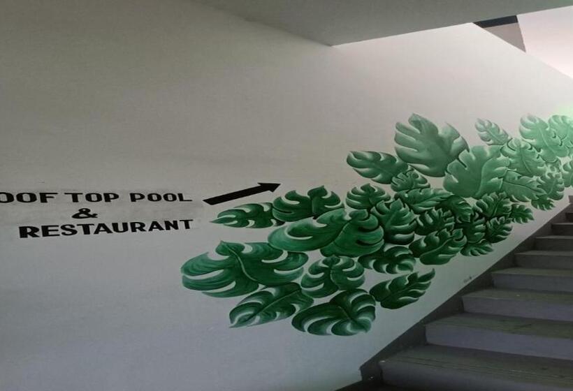 Общежитие Yasis Surf Lodge