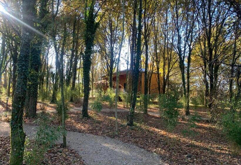 ホテル Ségala & Spa