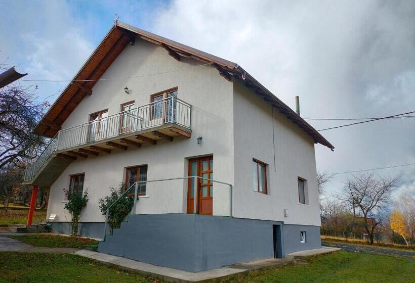 פנסיון Casa Vicu