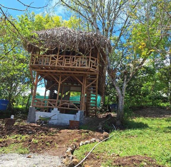 پانسیون Hospedaje Finca El Mono