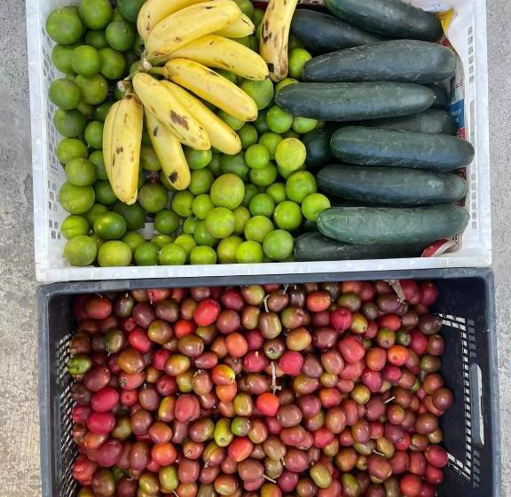 پانسیون Great Location Bed And Breakfast