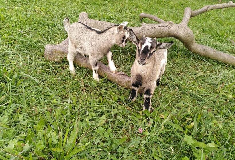 مبيت وإفطار Au Soin De La Vie