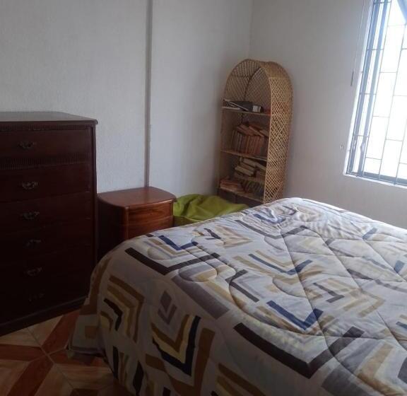 Bed and Breakfast Rey S House