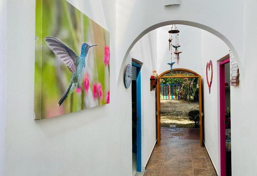 هتل Cabaña Familiar En Afra Reserva Natural