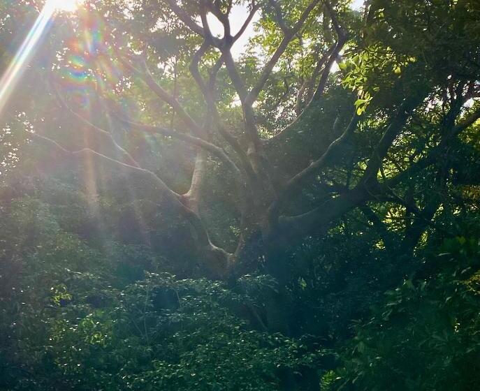 هتل Cabaña Familiar En Afra Reserva Natural