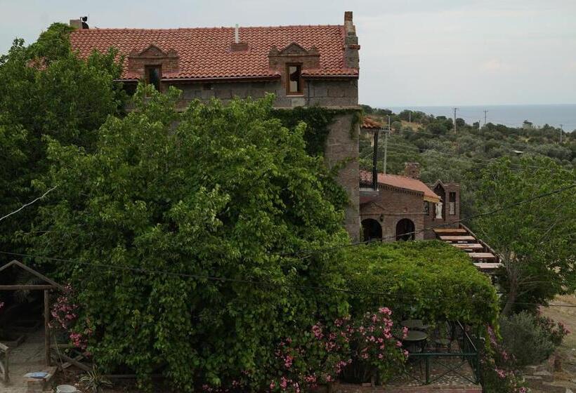 فندق Assos Ada