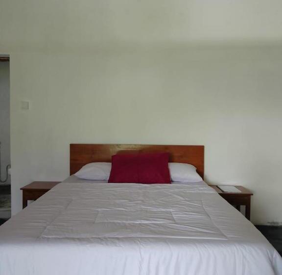 펜션 Narta Guest House