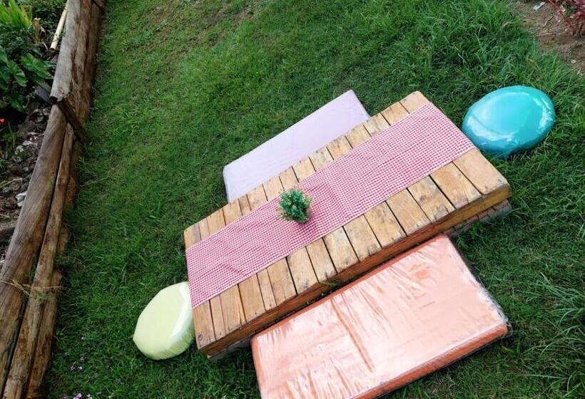 پانسیون Hostel Paraiso De Colores