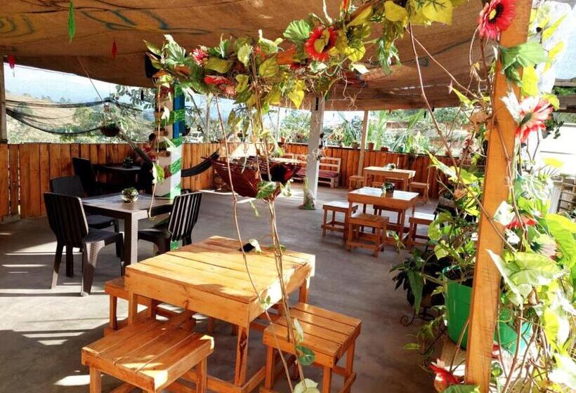 پانسیون Hostel Paraiso De Colores