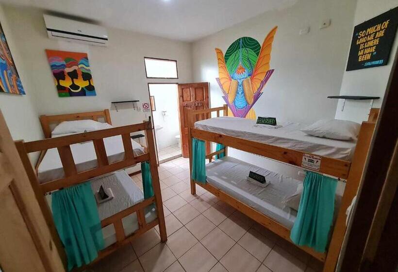 پانسیون Slow Monkey Hostel