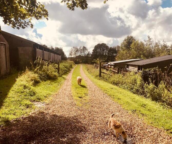 بنسيون The Old Post Office Studio Apartment In A Beautiful Cotswold Village