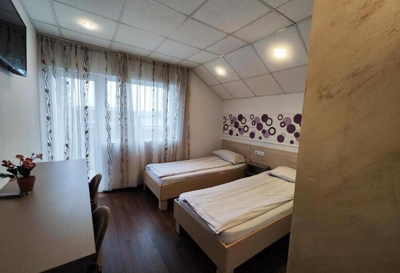 هاستل Casa Thomas Cluj